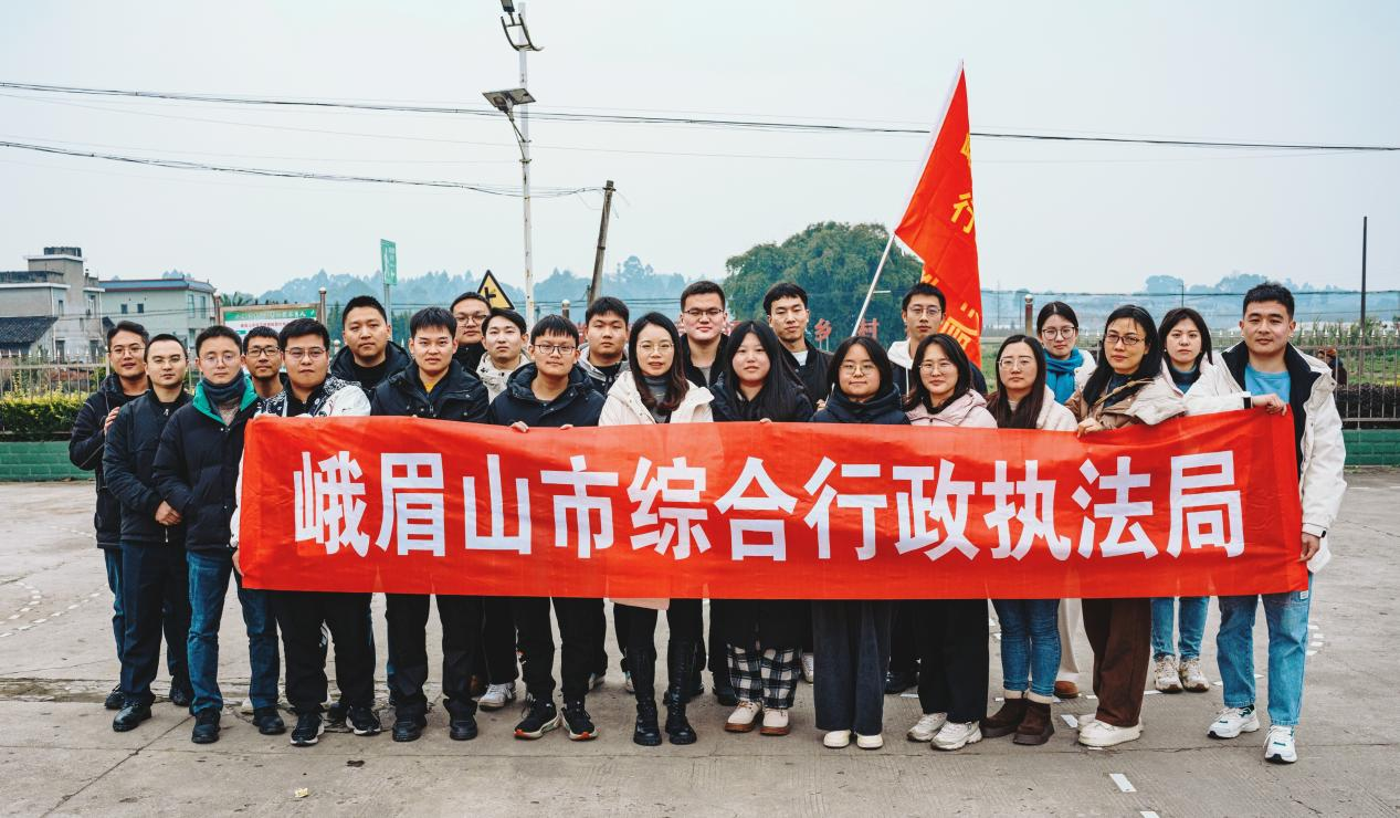 图片7