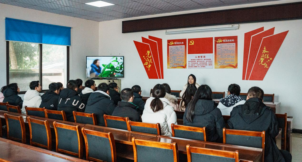 图片6