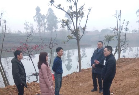 峨眉乡镇人口_峨眉刺